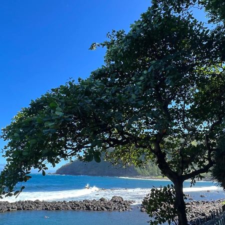 Le Liseron Creole - Entre Terre, Mer Et Riviere - Proche Toutes Commodites Saint-Joseph Eksteriør bilde